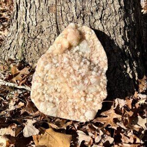 Peach Stilbite and Apophyllite Crystal Specimen